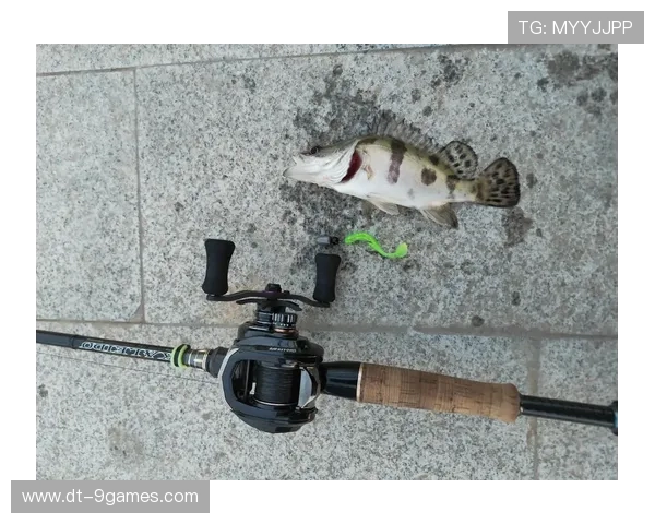 微信天天路亚游戏全新升级欢乐钓鱼玩法打造真实钓鱼体验与社交乐趣